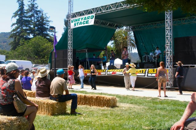 Honky Heartbreakers in concert
